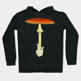 Amanita jacksoni Hoodie